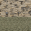 Sisal Border Green
